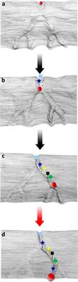 Sperm-Mediated Transgenerational Inheritance